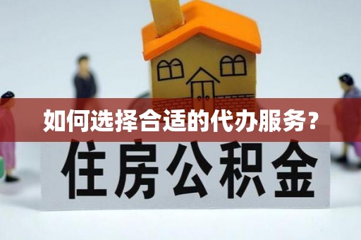 娄星如何选择合适的代办服务？