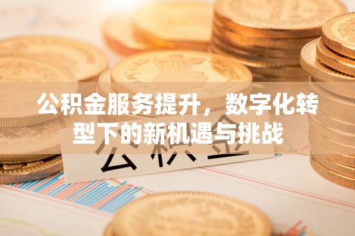 娄星公积金服务提升，数字化转型下的新机遇与挑战
