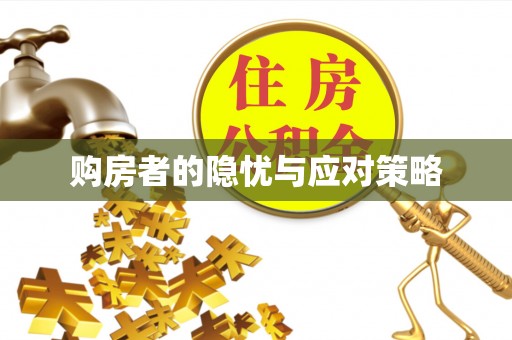 娄星购房者的隐忧与应对策略