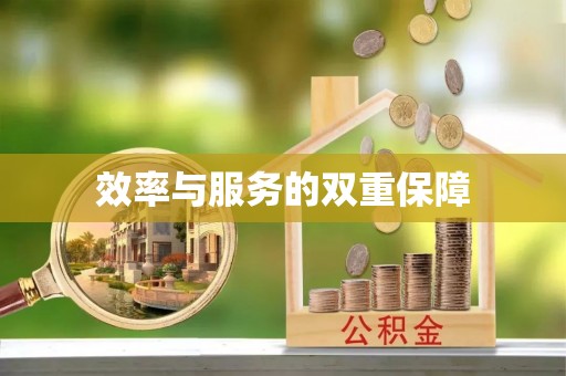 娄星效率与服务的双重保障