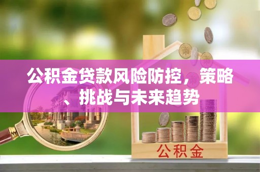 娄星公积金贷款风险防控，策略、挑战与未来趋势