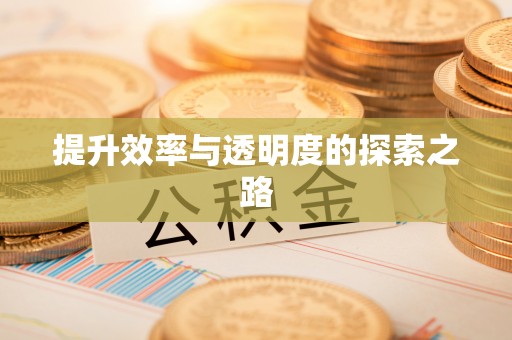 娄星提升效率与透明度的探索之路