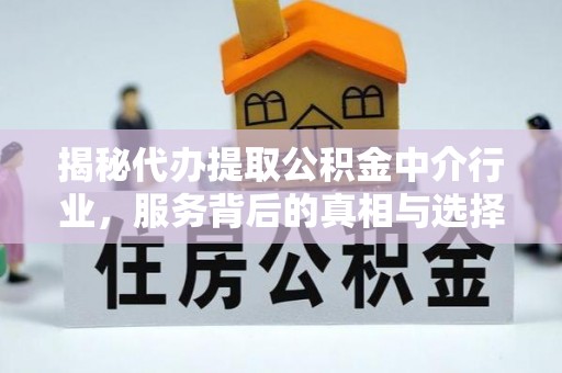 娄星揭秘代办提取公积金中介行业，服务背后的真相与选择指南
