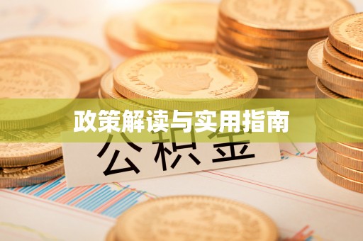 娄星政策解读与实用指南
