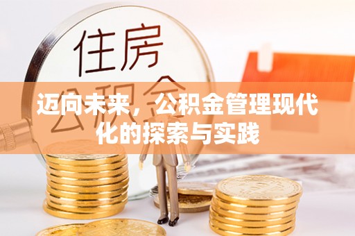 娄星迈向未来，公积金管理现代化的探索与实践