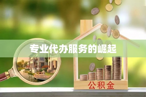 娄星专业代办服务的崛起