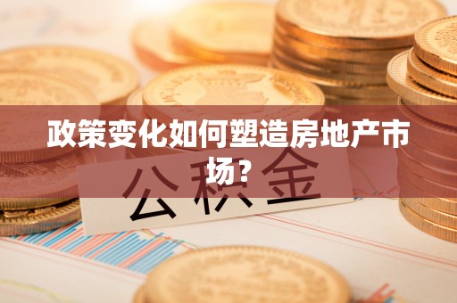 娄星政策变化如何塑造房地产市场？