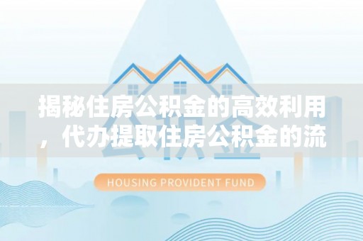 娄星揭秘住房公积金的高效利用，代办提取住房公积金的流程与技巧