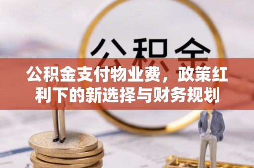 娄星公积金支付物业费，政策红利下的新选择与财务规划