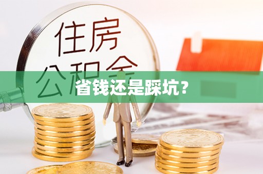 娄星省钱还是踩坑？