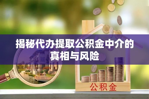 娄星揭秘代办提取公积金中介的真相与风险