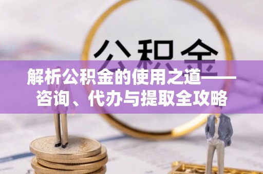 娄星解析公积金的使用之道——咨询、代办与提取全攻略