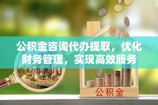 娄星公积金咨询代办提取，优化财务管理，实现高效服务