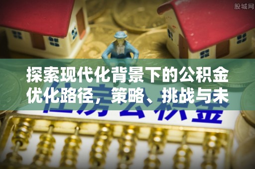 娄星探索现代化背景下的公积金优化路径，策略、挑战与未来展望