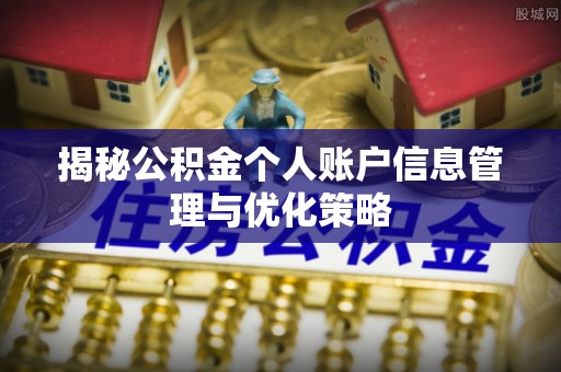 娄星揭秘公积金个人账户信息管理与优化策略
