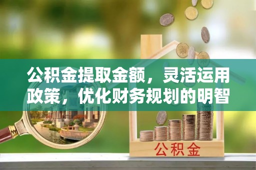 娄星公积金提取金额，灵活运用政策，优化财务规划的明智选择