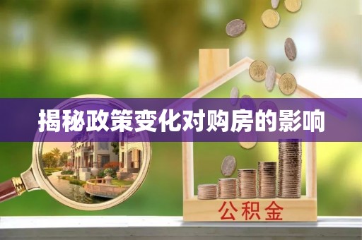 娄星揭秘政策变化对购房的影响