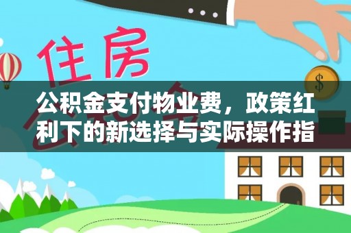 娄星公积金支付物业费，政策红利下的新选择与实际操作指南