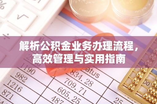 娄星解析公积金业务办理流程，高效管理与实用指南