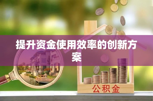 娄星提升资金使用效率的创新方案