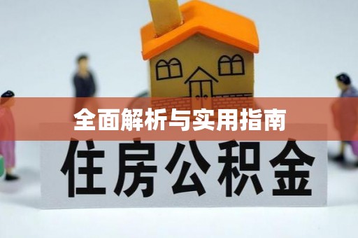娄星全面解析与实用指南