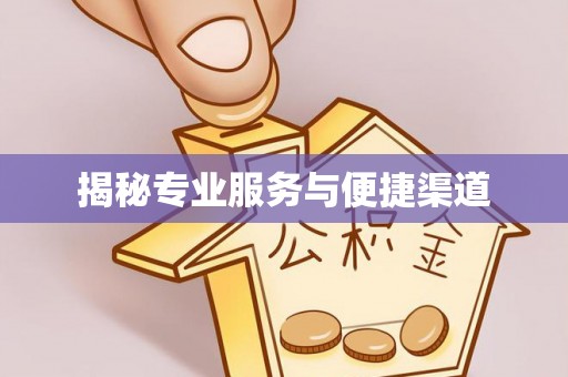 娄星揭秘专业服务与便捷渠道