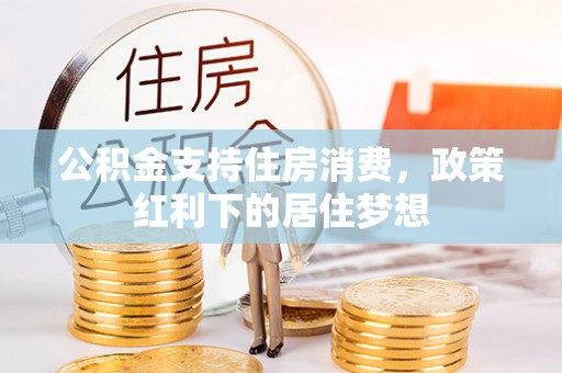 娄星公积金支持住房消费，政策红利下的居住梦想