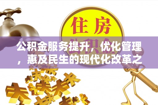娄星公积金服务提升，优化管理，惠及民生的现代化改革之路