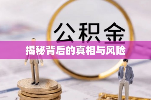 娄星揭秘背后的真相与风险