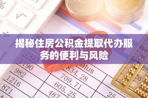 娄星揭秘住房公积金提取代办服务的便利与风险