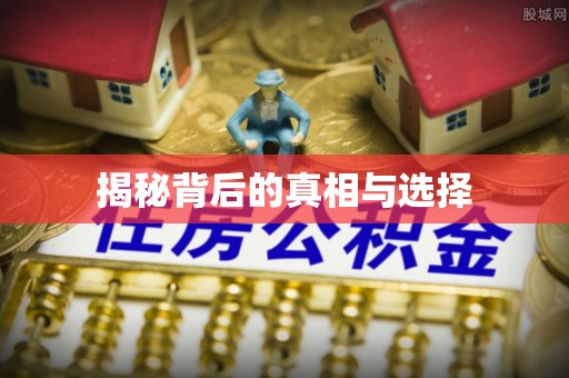 娄星揭秘背后的真相与选择