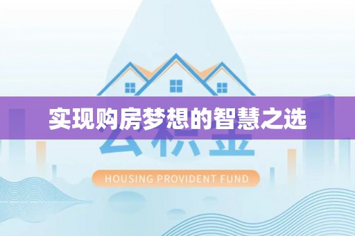娄星实现购房梦想的智慧之选