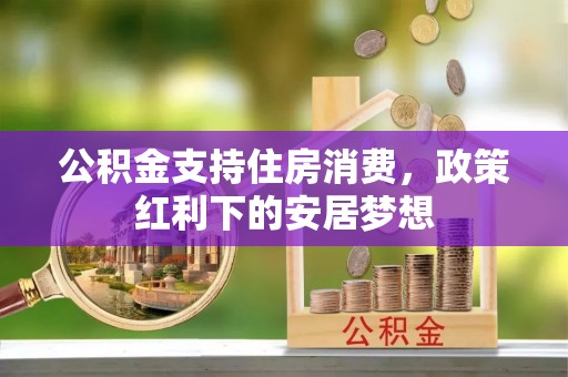 娄星公积金支持住房消费，政策红利下的安居梦想