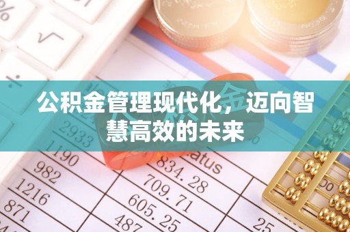 娄星公积金管理现代化，迈向智慧高效的未来
