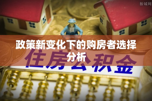 娄星政策新变化下的购房者选择分析