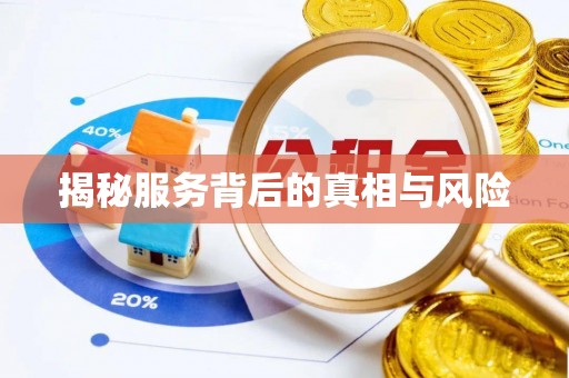 娄星揭秘服务背后的真相与风险
