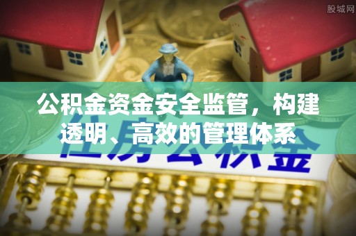 娄星公积金资金安全监管，构建透明、高效的管理体系