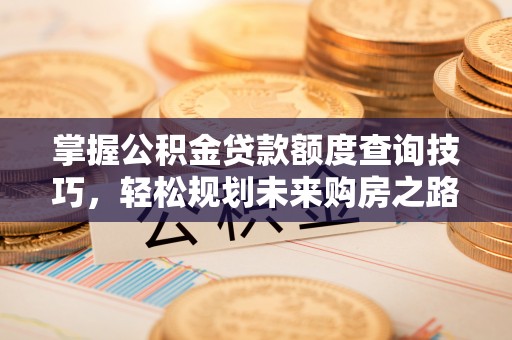 娄星掌握公积金贷款额度查询技巧，轻松规划未来购房之路