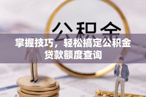娄星掌握技巧，轻松搞定公积金贷款额度查询