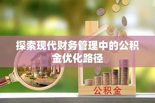 娄星探索现代财务管理中的公积金优化路径