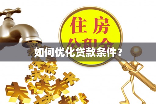 娄星如何优化贷款条件？