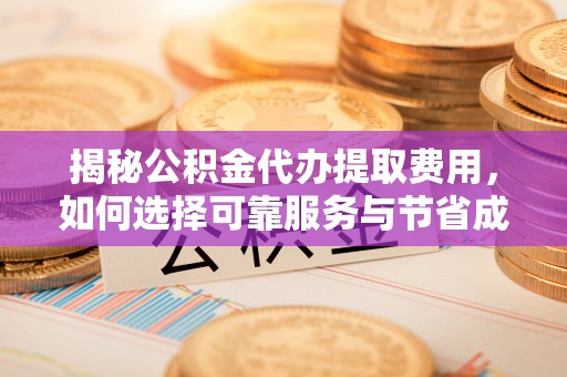 娄星揭秘公积金代办提取费用，如何选择可靠服务与节省成本