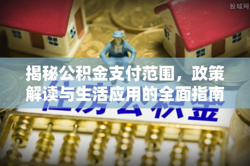 娄星揭秘公积金支付范围，政策解读与生活应用的全面指南