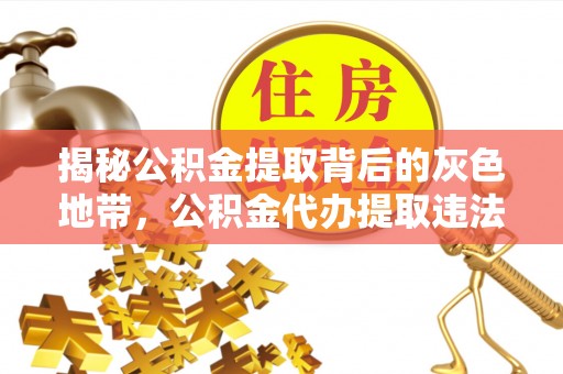 娄星揭秘公积金提取背后的灰色地带，公积金代办提取违法不？