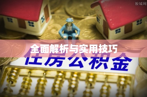 娄星全面解析与实用技巧