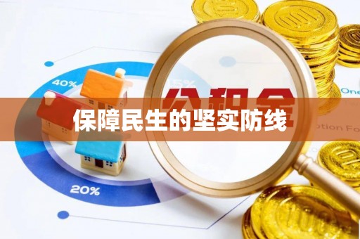 娄星保障民生的坚实防线