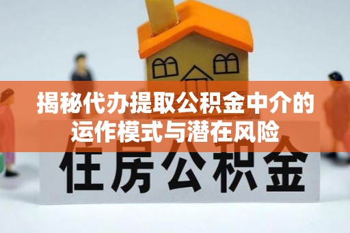 娄星揭秘代办提取公积金中介的运作模式与潜在风险
