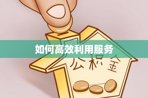 娄星如何高效利用服务
