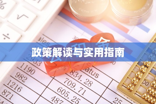 娄星政策解读与实用指南