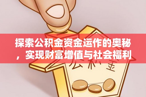 娄星探索公积金资金运作的奥秘，实现财富增值与社会福利双赢